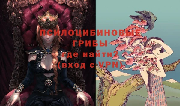 круглые Аркадак