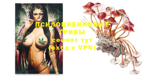 круглые Аркадак