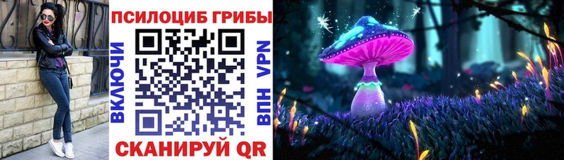 где купить наркотик  Белоозёрский  Галлюциногенные грибы Magic Shrooms 